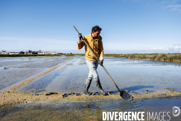 Paludier dans les marais salants de Guérande