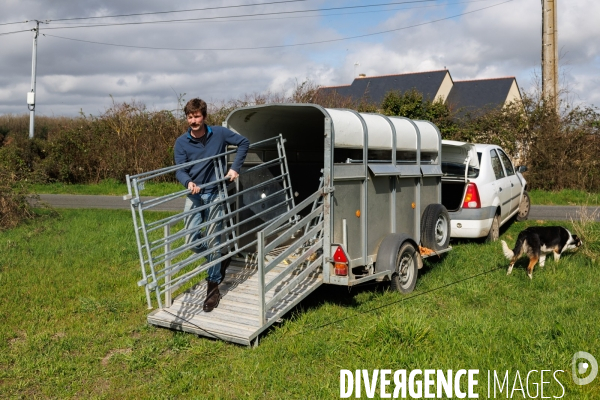 Pastoralisme en Maine-et-Loire