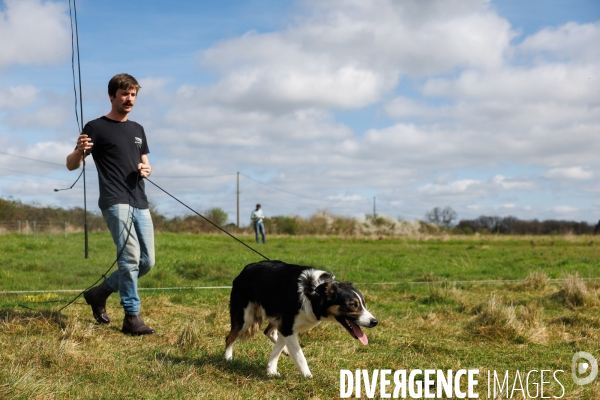 Pastoralisme en Maine-et-Loire