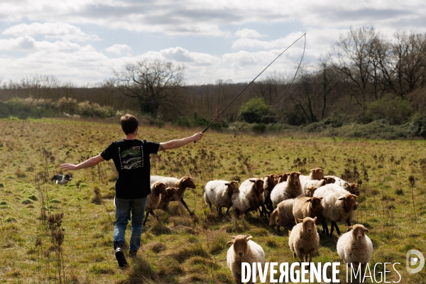 Pastoralisme en Maine-et-Loire