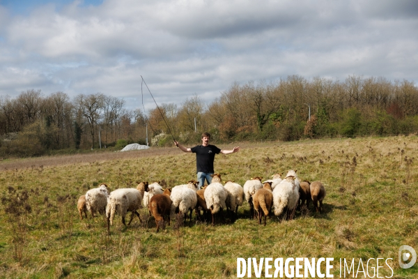 Pastoralisme en Maine-et-Loire