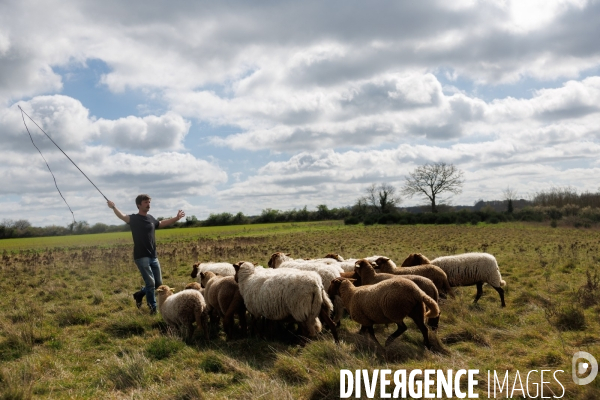 Pastoralisme en Maine-et-Loire