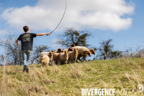 Pastoralisme en Maine-et-Loire