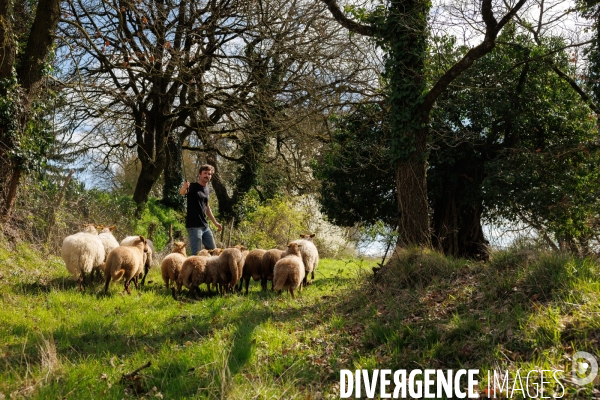 Pastoralisme en Maine-et-Loire
