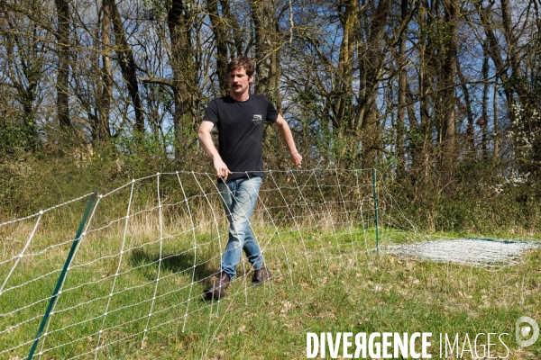 Pastoralisme en Maine-et-Loire
