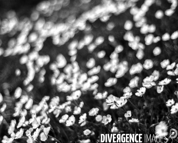 L envers de mon hiver #3