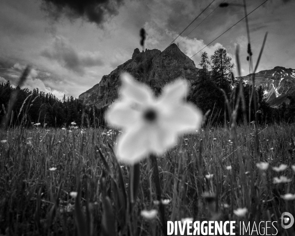 L envers de mon hiver #3