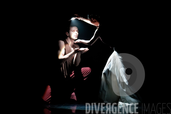 Rex / Lucas Valente / Ballet de l Opéra national du Rhin
