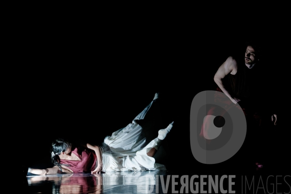 Rex / Lucas Valente / Ballet de l Opéra national du Rhin