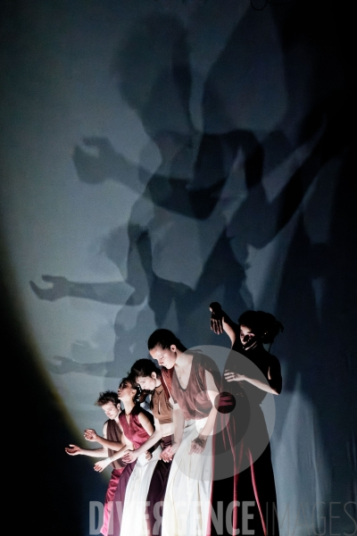 Rex / Lucas Valente / Ballet de l Opéra national du Rhin