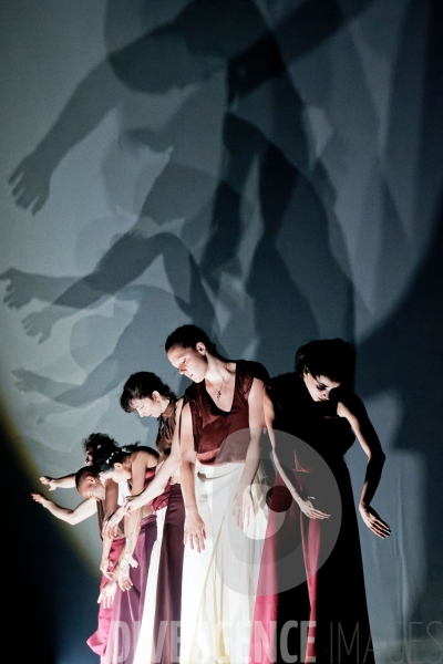 Rex / Lucas Valente / Ballet de l Opéra national du Rhin