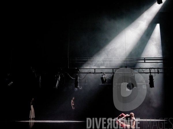 Rex / Lucas Valente / Ballet de l Opéra national du Rhin