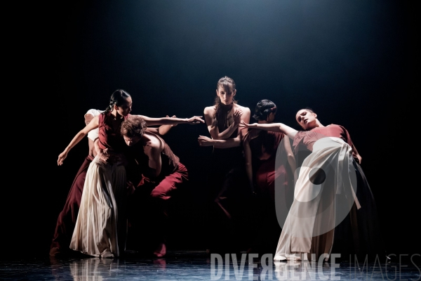Rex / Lucas Valente / Ballet de l Opéra national du Rhin