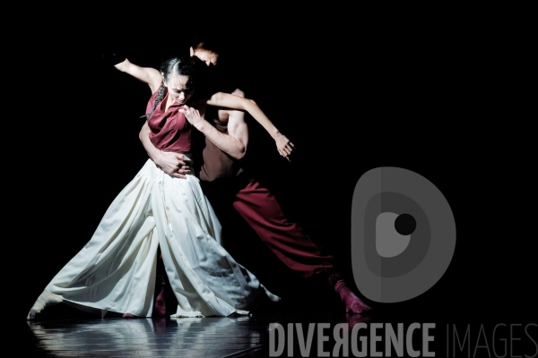Rex / Lucas Valente / Ballet de l Opéra national du Rhin
