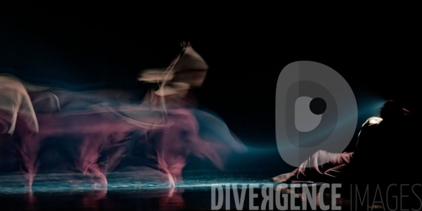 Rex / Lucas Valente / Ballet de l Opéra national du Rhin