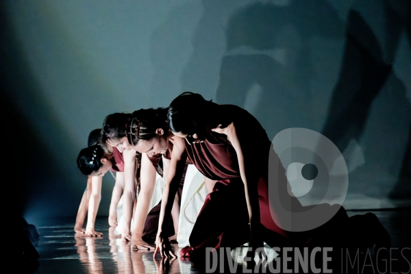 Rex / Lucas Valente / Ballet de l Opéra national du Rhin