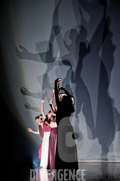 Rex / Lucas Valente / Ballet de l Opéra national du Rhin
