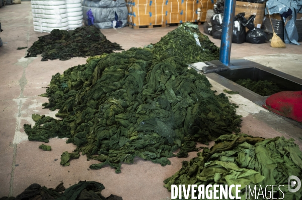 Recyclage de tissu à Prato