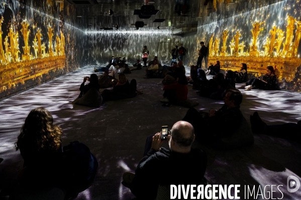 Cite immersive historique sur les VIKINGS a Rouen (76)