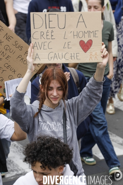 Bordeaux, Manifestation contre l extrême droite pour les élections législatives.