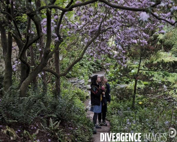 Enfants au jardin alpin, du Muséum d’histoire naturelle de Paris