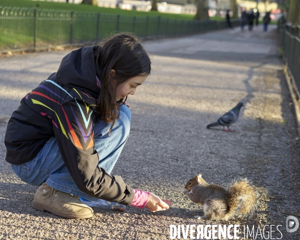 Enfant et un écureuil dans un parc de Londres
