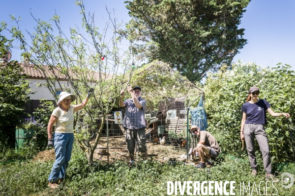 Habitat Participatif