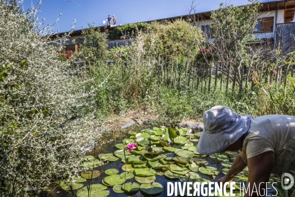 Habitat Participatif