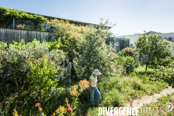 Habitat Participatif