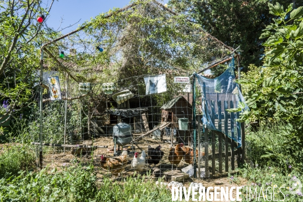 Habitat Participatif