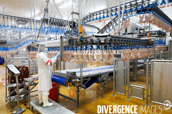Abattoir de volailles