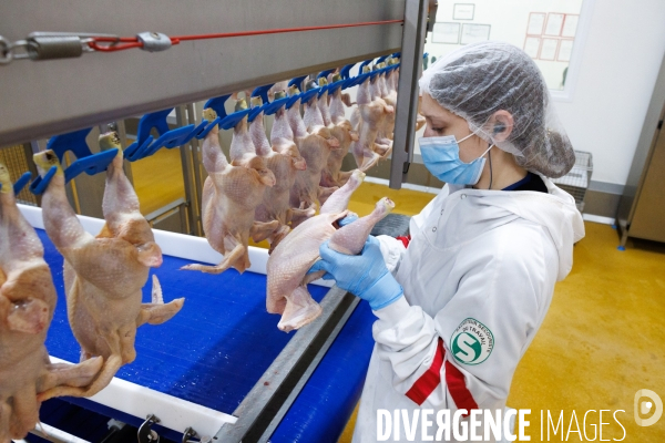 Abattoir de volailles