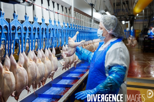 Abattoir de volailles