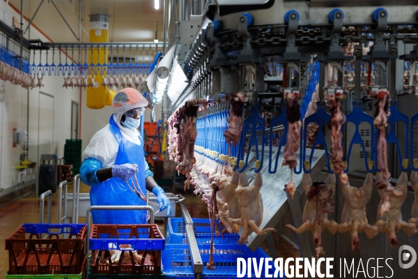 Abattoir de volailles