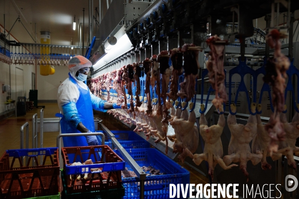 Abattoir de volailles