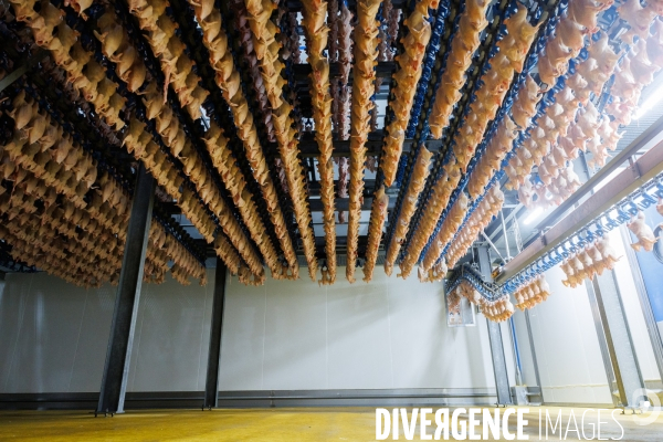 Abattoir de volailles
