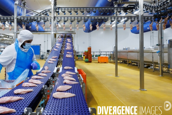 Abattoir de volailles