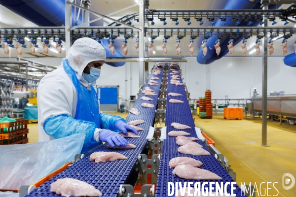 Abattoir de volailles
