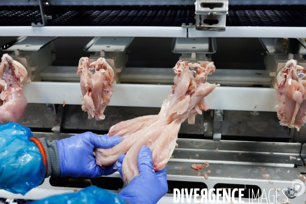 Abattoir de volailles
