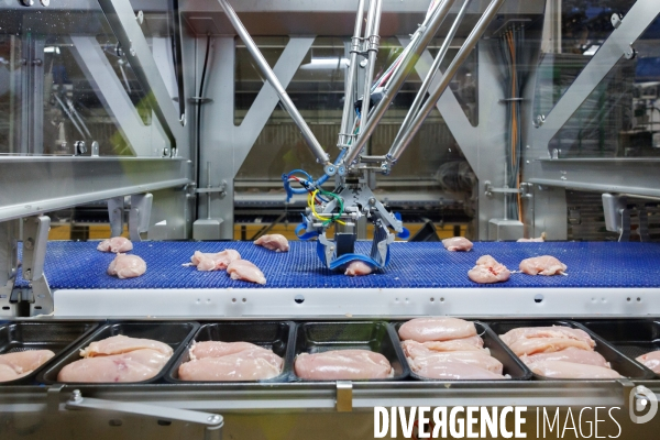 Abattoir de volailles