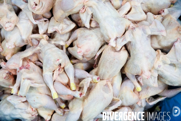 Abattoir de volailles