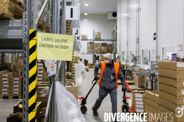 Abattoir de volailles