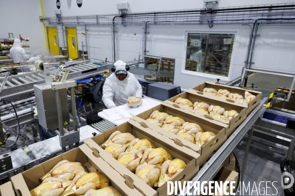 Abattoir de volailles