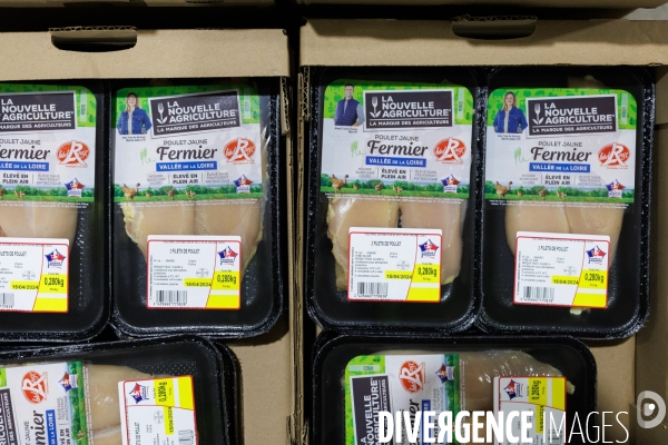 Abattoir de volailles