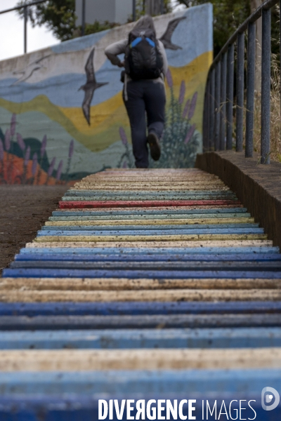 Sur les chemins de Madere