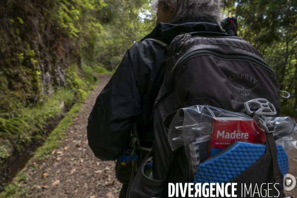 Sur les chemins de Madere