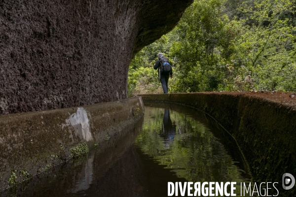 Sur les chemins de Madere
