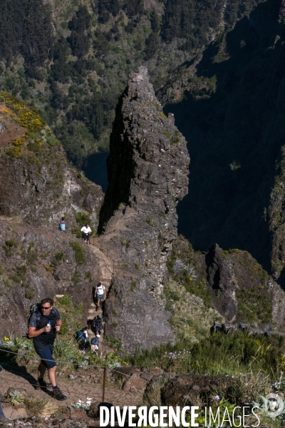 Sur les chemins de Madere