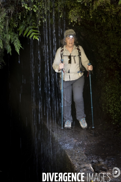 Sur les chemins de Madere