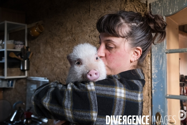 Gustave le cochon domestique